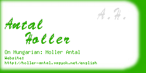 antal holler business card